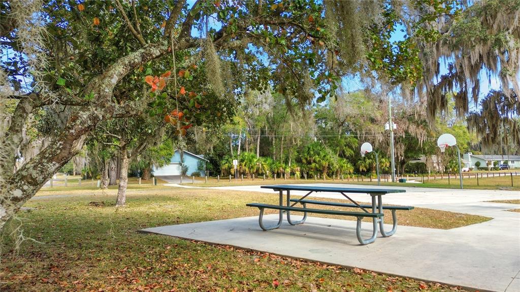 2236 Southeast 8th Avenue Ocala, FL 34471 - Photo 48 of 49 a park view with a bench and trees