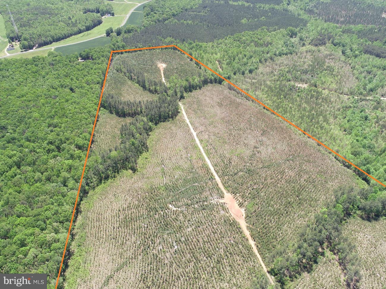 W Point Drakes Branch, VA 23937 - Photo 5 of 12 a view of a yard with trees