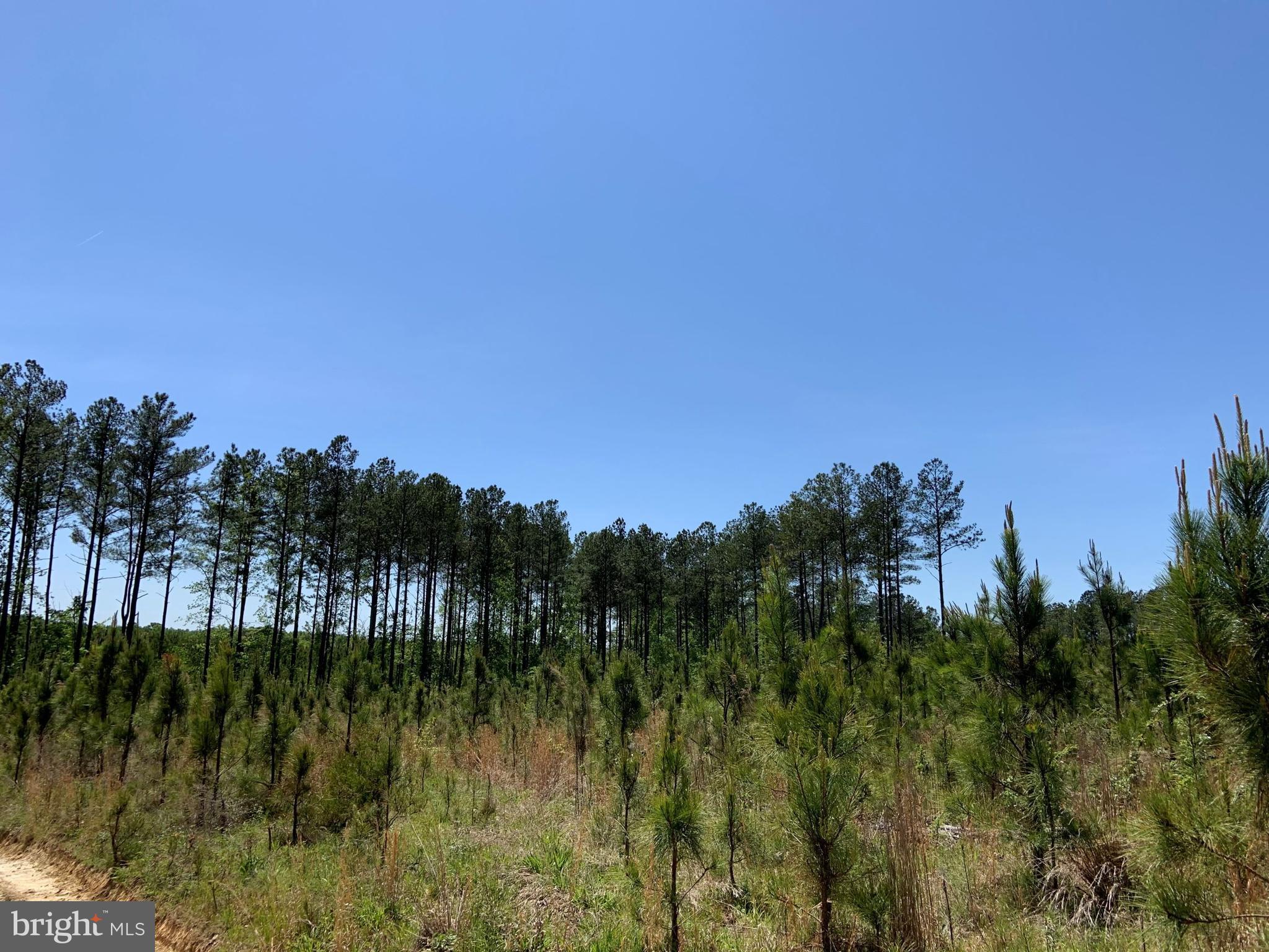 W Point Drakes Branch, VA 23937 - Photo 7 of 12