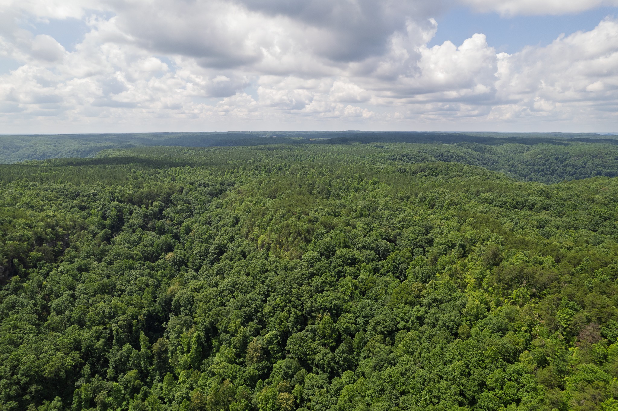 0 Flat Rock Road Jamestown, TN 38556 - Photo 4 of 20