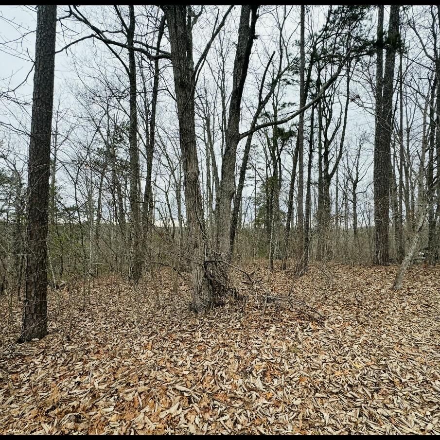 0 Sandy Hills Road Corbin, KY 40701 - Photo 5 of 7 IMG_3758