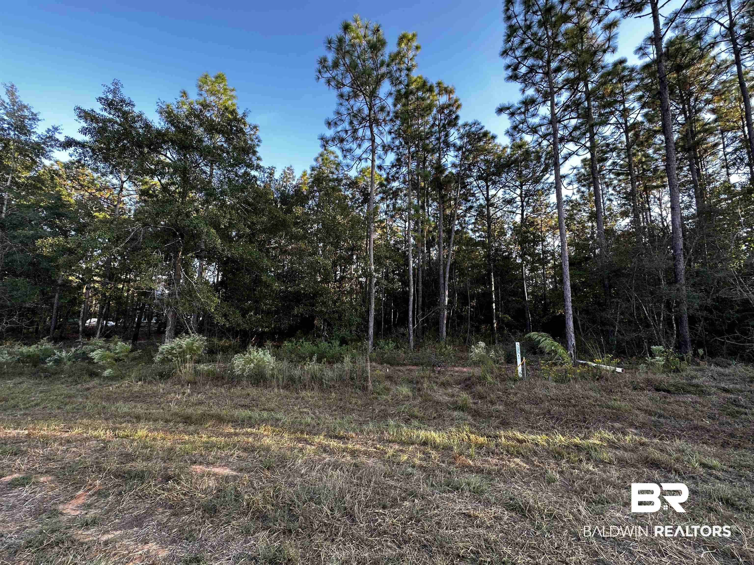 6 Bromley Road Bay Minette, AL 36507 - Photo 1 of 2