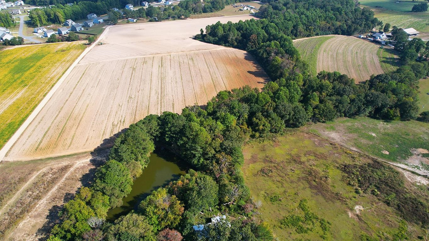 2128 Mockingbird Lane Willow Spring, NC 27592 - Photo 4 of 5 a view of a swimming pool and a yard