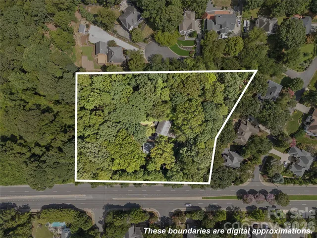 a view of a yard with plants