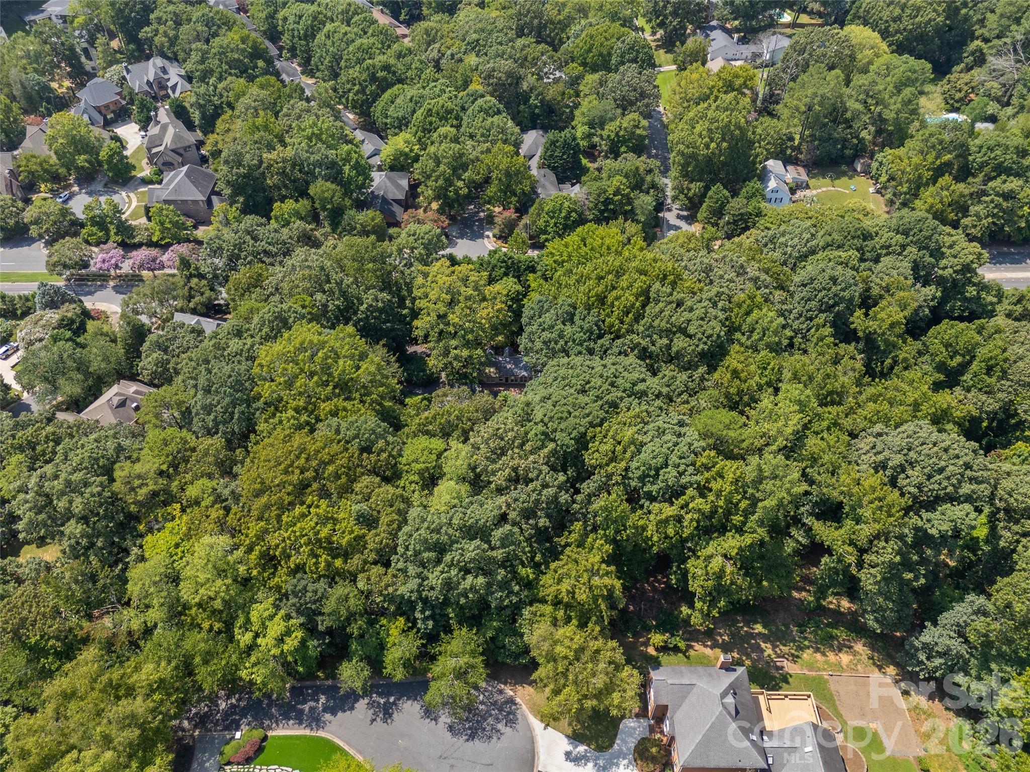 7707 Park Road Charlotte, NC 28210 - Photo 13 of 23 view of a house with a lush green forest