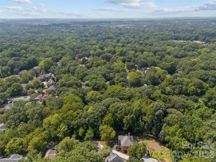 a view of a green field with lots of bushes