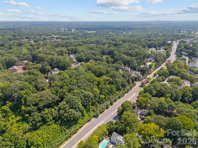 an aerial view of forest