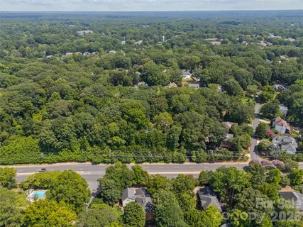 an aerial view of forest