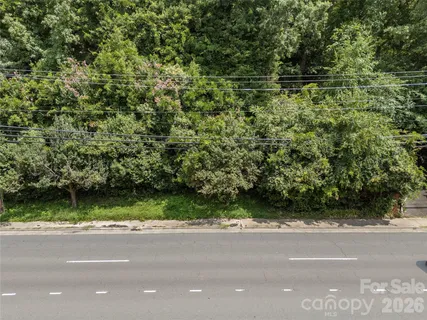 a view of a garden with plants