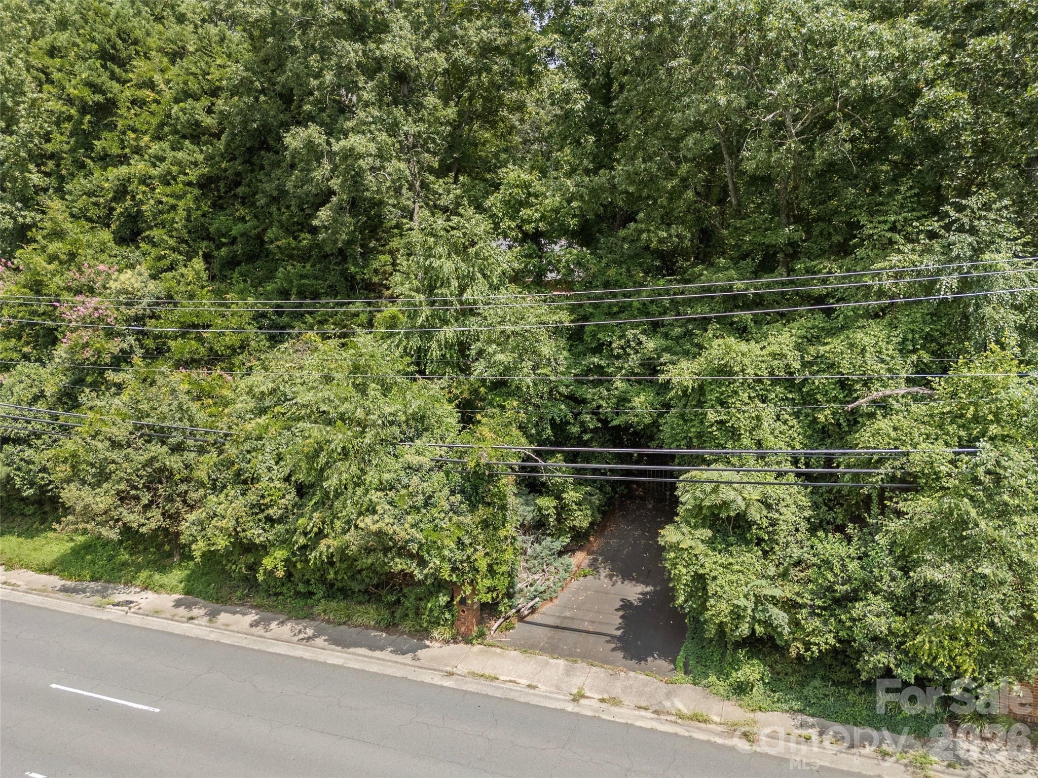 7707 Park Road Charlotte, NC 28210 - Photo 23 of 23 a view of a garden with plants