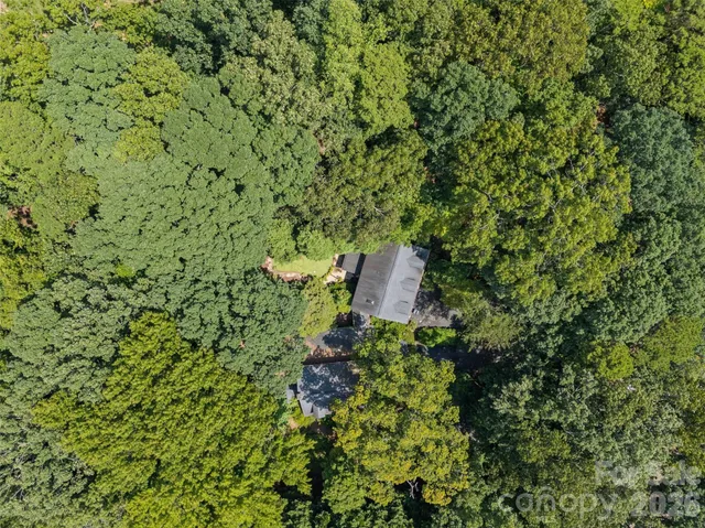 a view of a garden with a bench