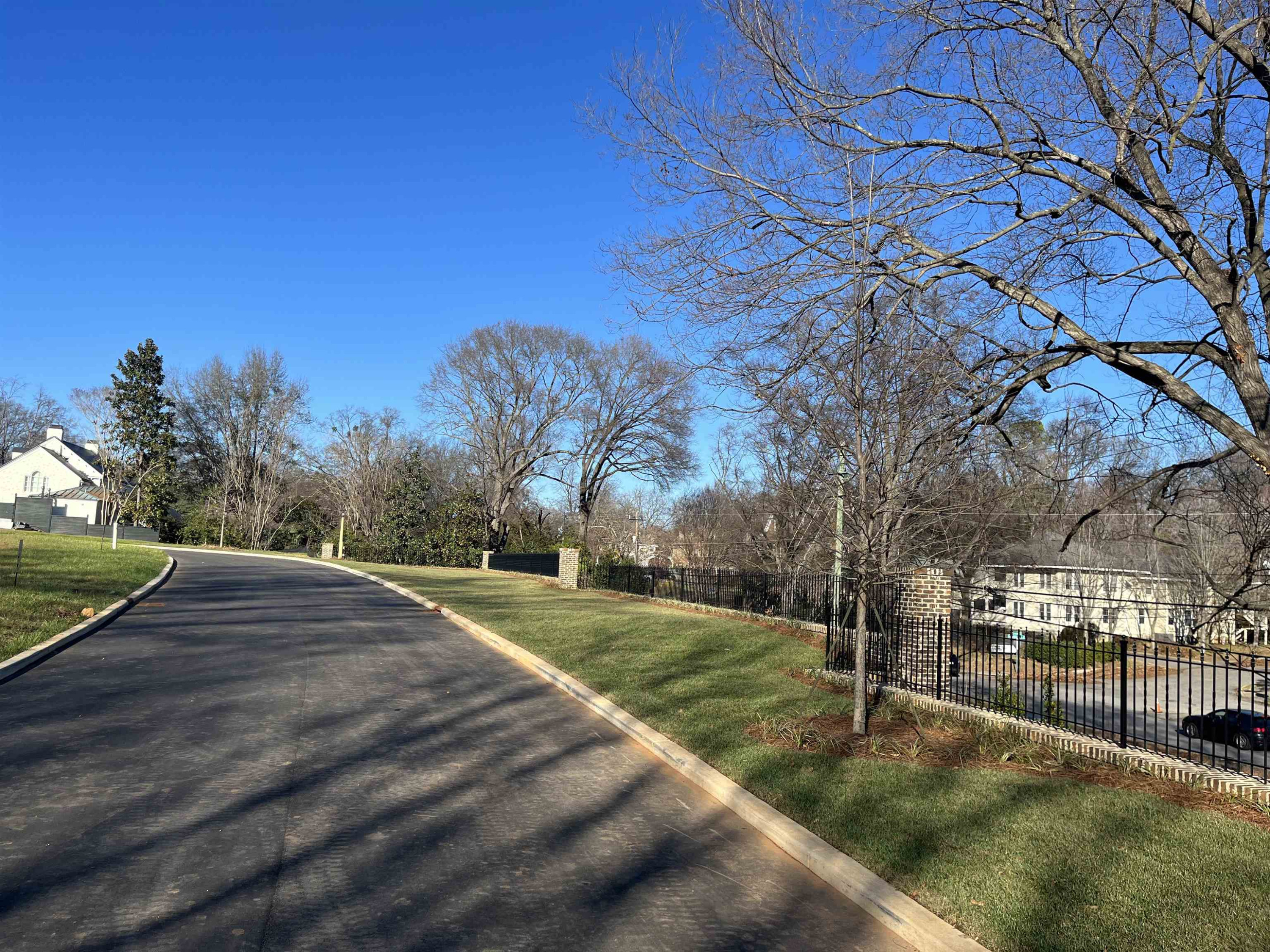 709 Caswell Heights Lane Raleigh, NC 27608 - Photo 5 of 9 a view of a yard with plants and trees