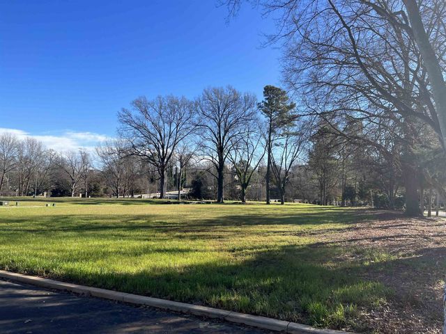a view of a tall trees in a yard