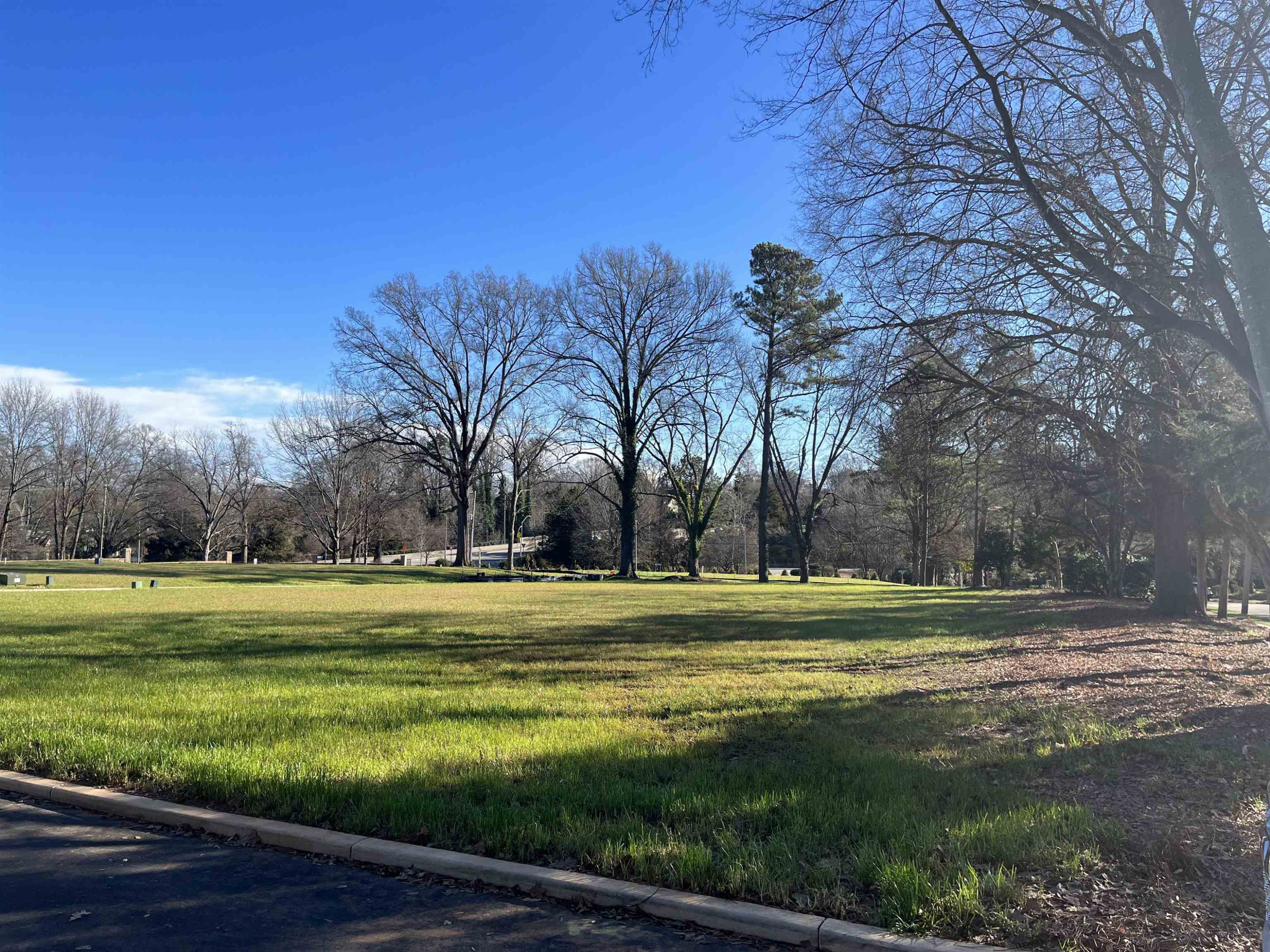 709 Caswell Heights Lane Raleigh, NC 27608 - Photo 6 of 9 a view of a tall trees in a yard