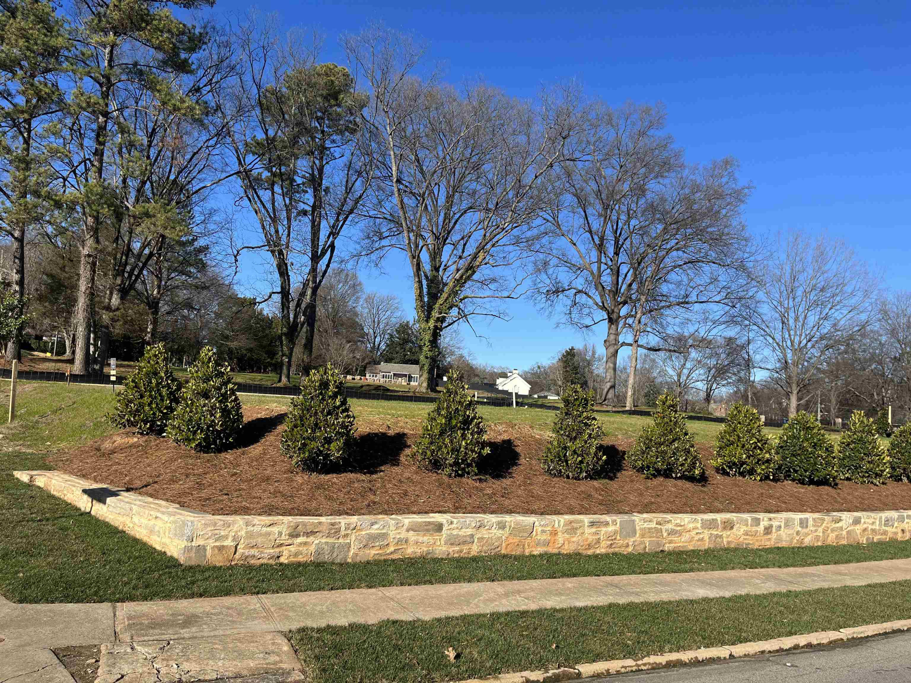 709 Caswell Heights Lane Raleigh, NC 27608 - Photo 8 of 9 a view of a garden with trees