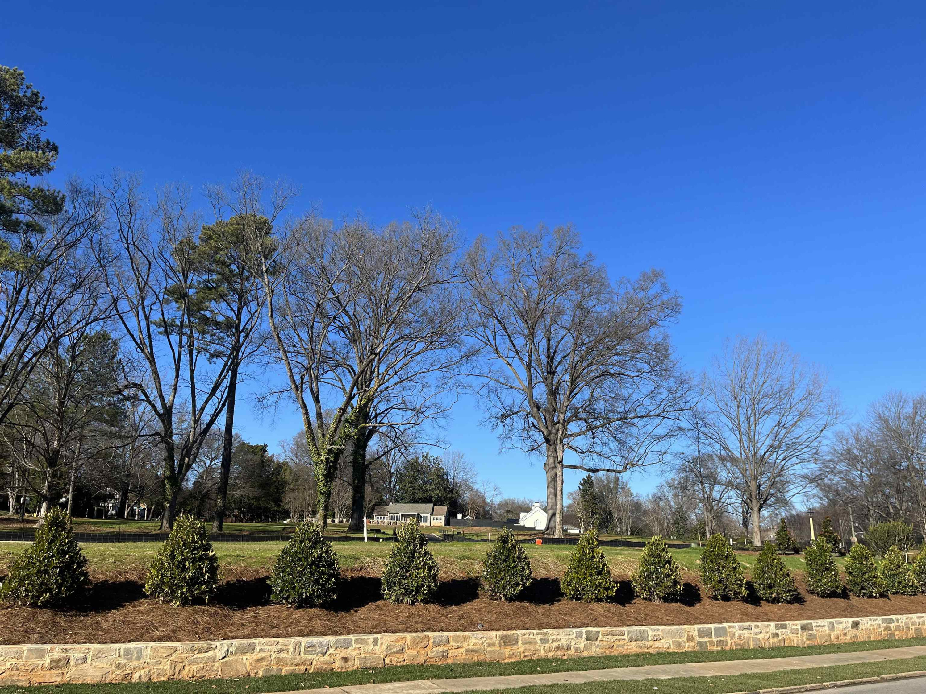 709 Caswell Heights Lane Raleigh, NC 27608 - Photo 9 of 9 a view of road with trees