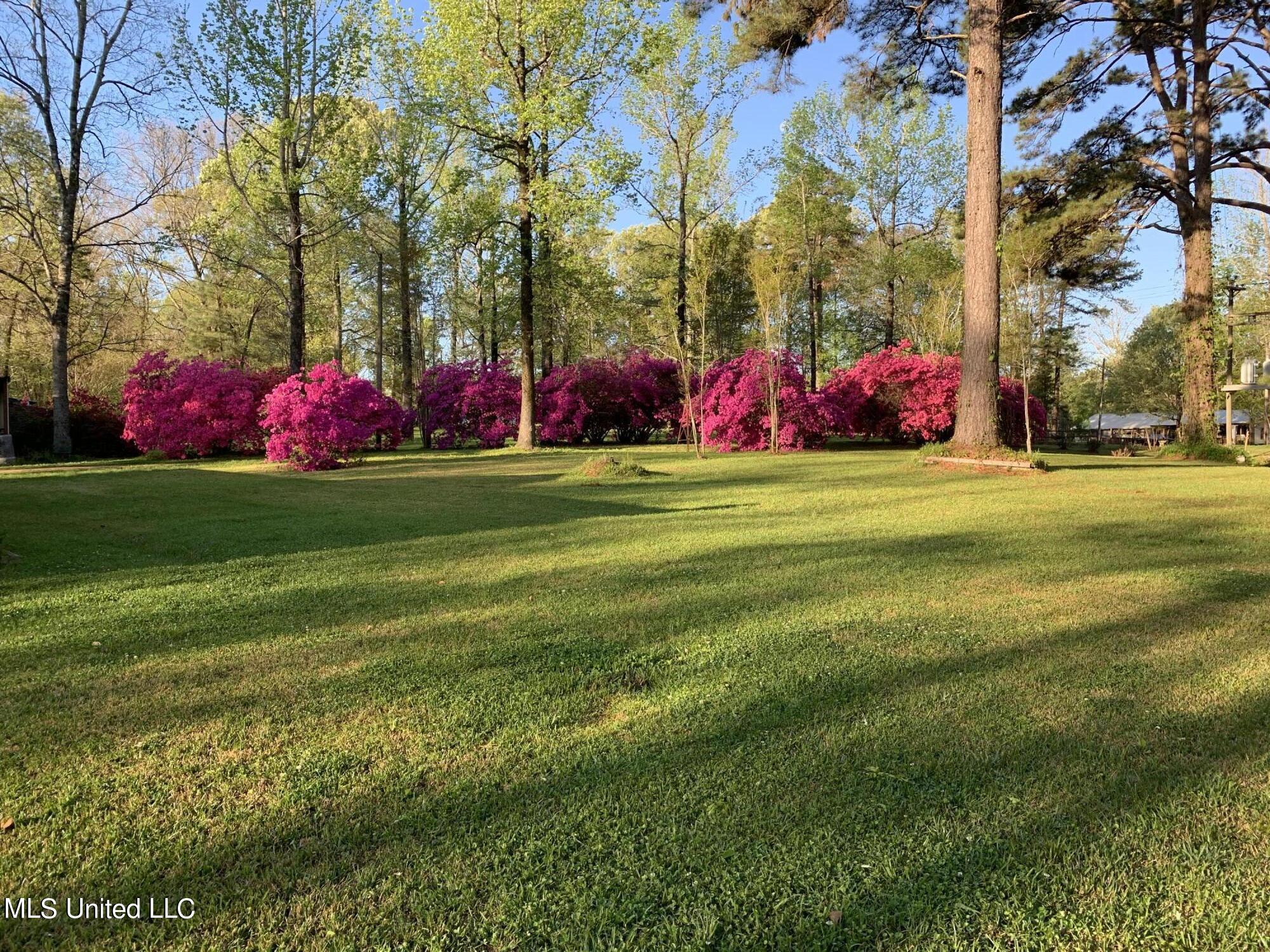 349 Cranfield Road Roxie, MS 39661 - Photo 3 of 41 IMG_0500