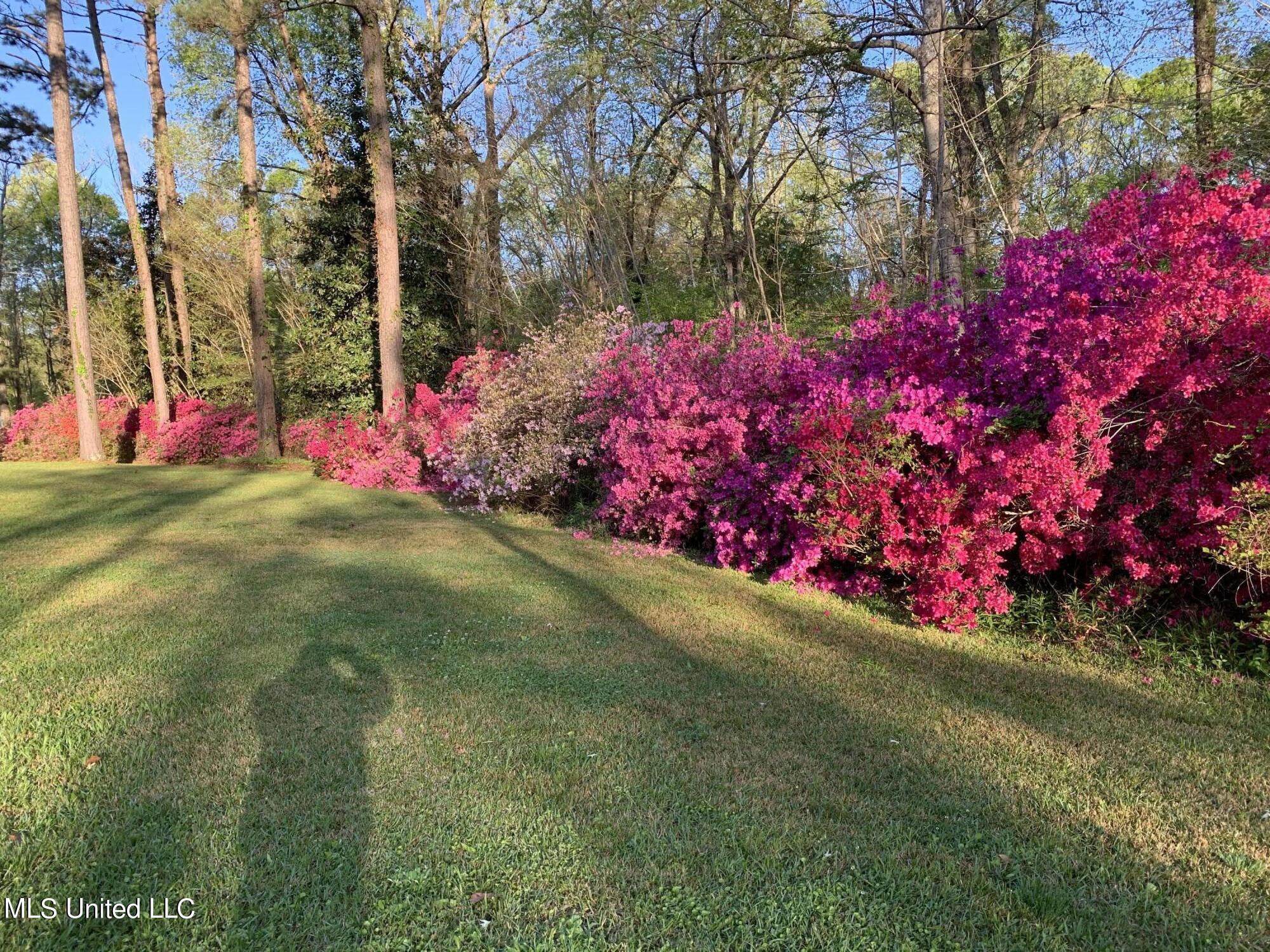 349 Cranfield Road Roxie, MS 39661 - Photo 4 of 41 IMG_0499