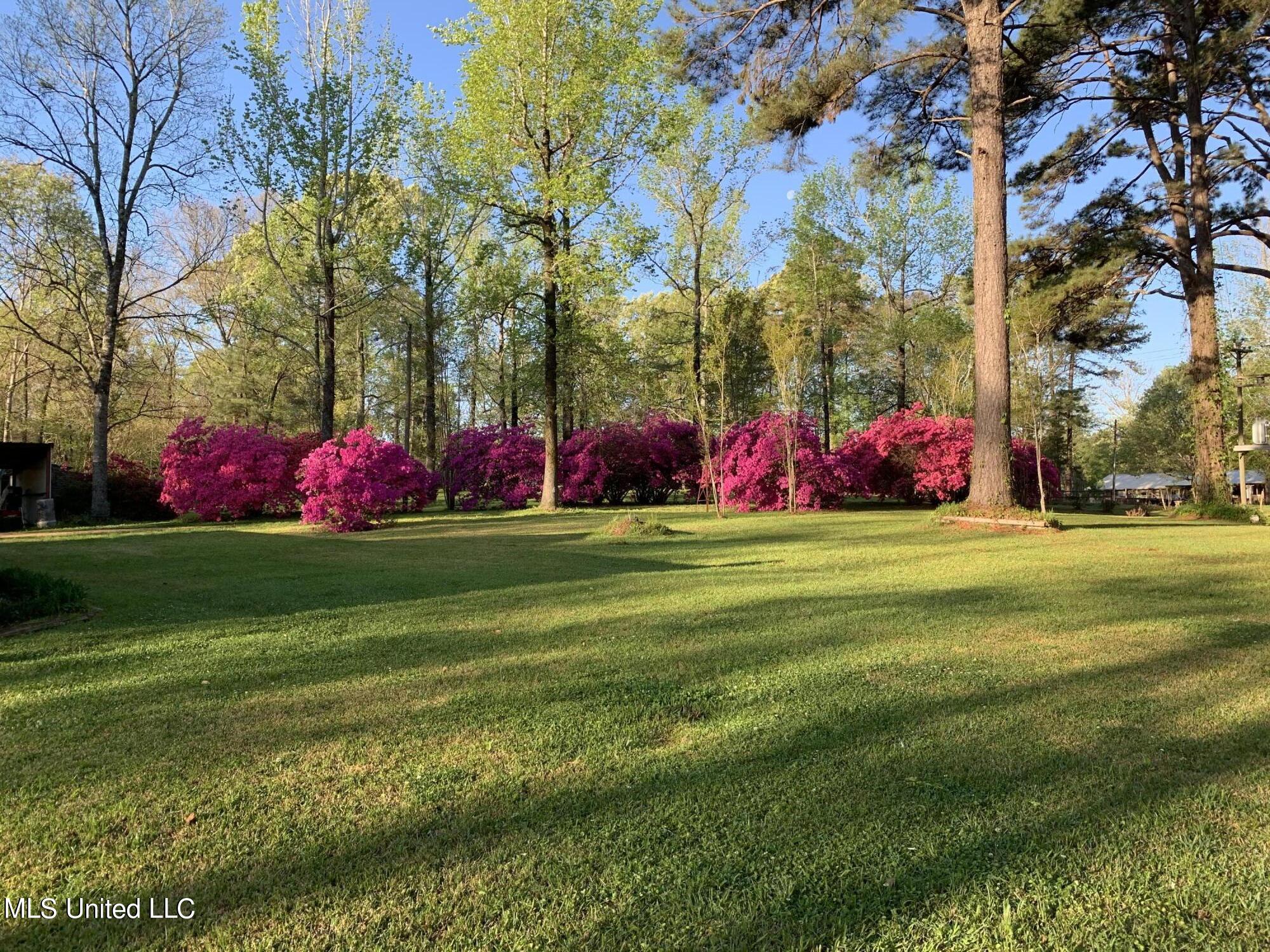 349 Cranfield Road Roxie, MS 39661 - Photo 5 of 41 IMG_0497