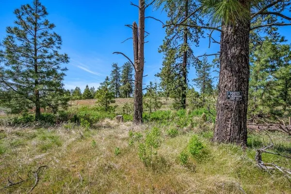 $340,000 | 20122 West Johnson Lane, Nine Mile Falls, WA 99026