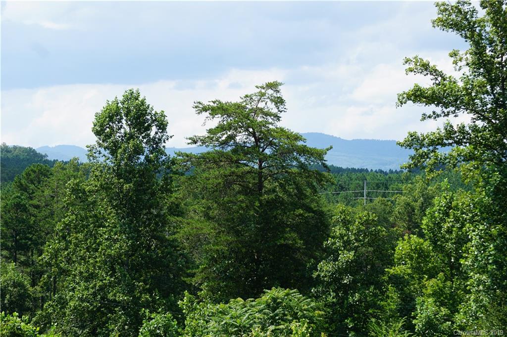 1660 Piney Knob Road Rutherfordton, NC 28139 - Photo 8 of 47