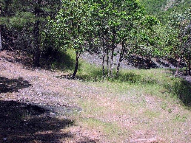 0 North River Road, Unit TL100 Gold Hill, OR 97525 - Photo 5 of 7 Additional Photo