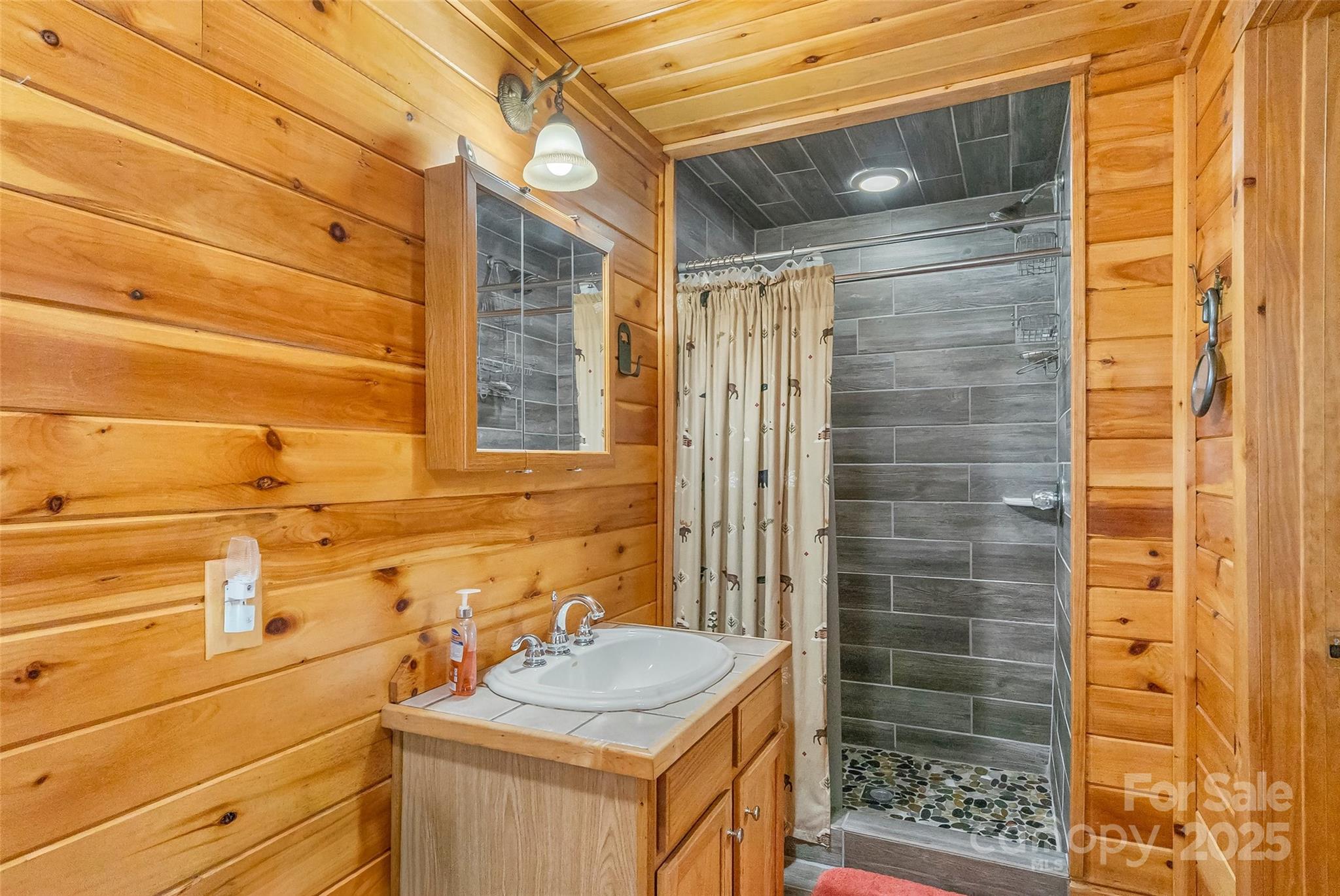 6151 Hemlock Road Newland, NC 28657 - Photo 20 of 43 a bathroom with a sink and shower