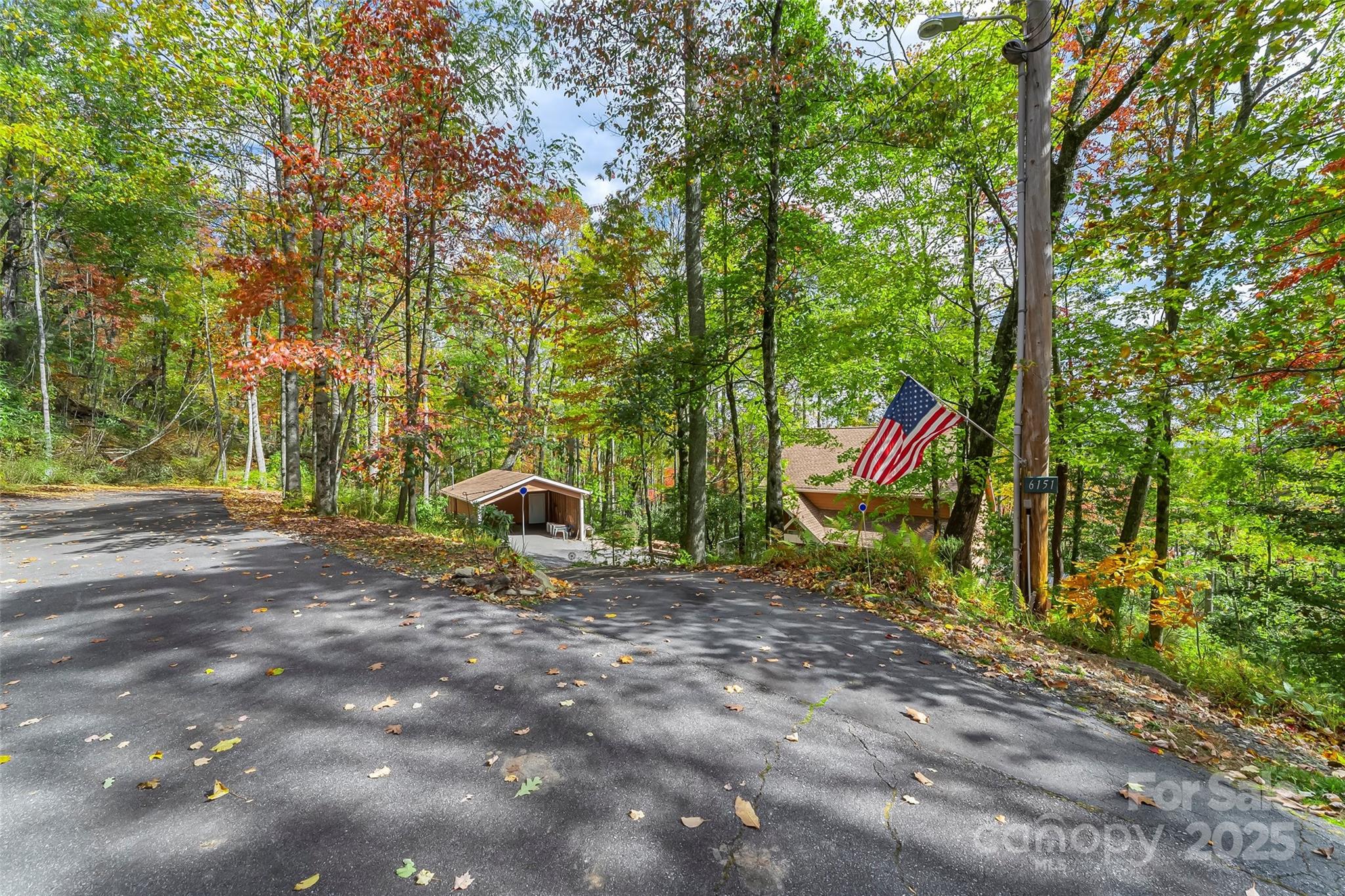 6151 Hemlock Road Newland, NC 28657 - Photo 34 of 43 a view of a park with large trees
