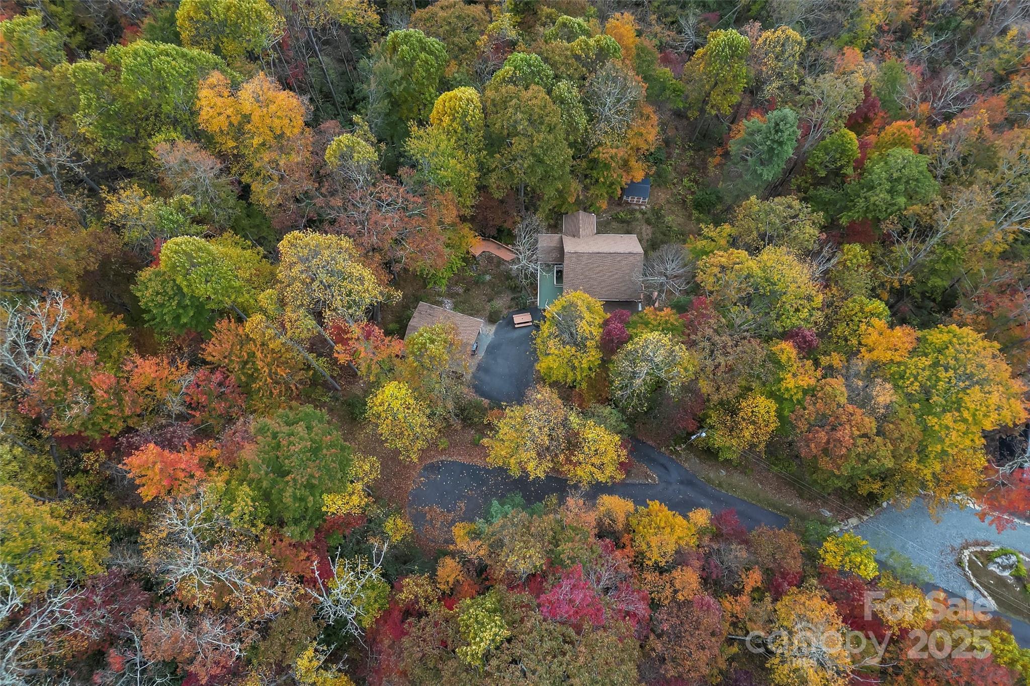 6151 Hemlock Road Newland, NC 28657 - Photo 38 of 43 a picture of flowers