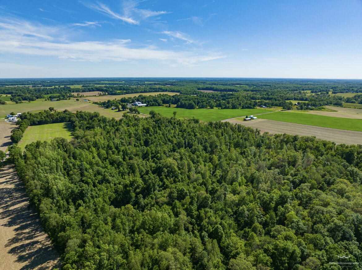 14 14 Mile Road Coldwater, MI 49036 - Photo 6 of 15