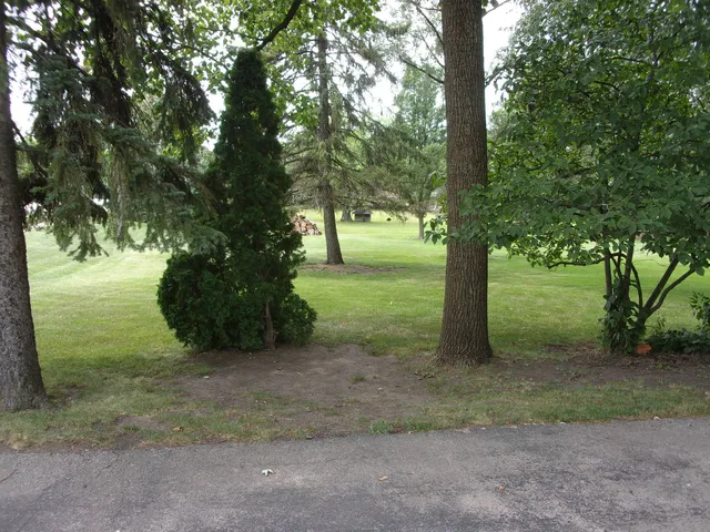 a view of a yard with trees