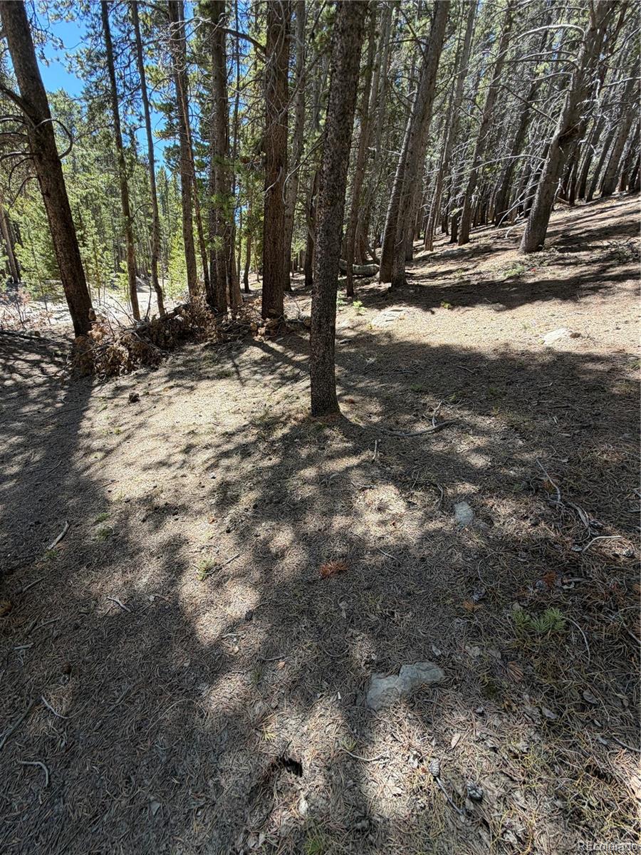 Lot 378 Alice Road Idaho Springs, CO 80452 - Photo 8 of 26 a view of road and trees