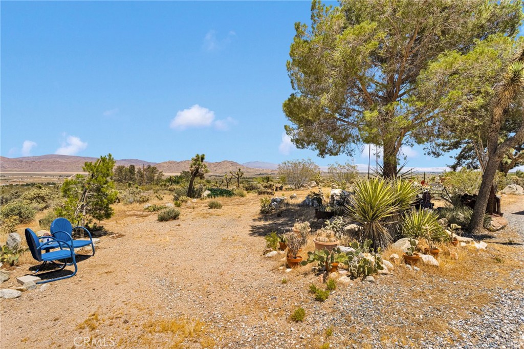 29229 Santa Rosa Road Lucerne Valley, CA 92356 - Photo 55 of 74 a view of a beach with a tree in the background
