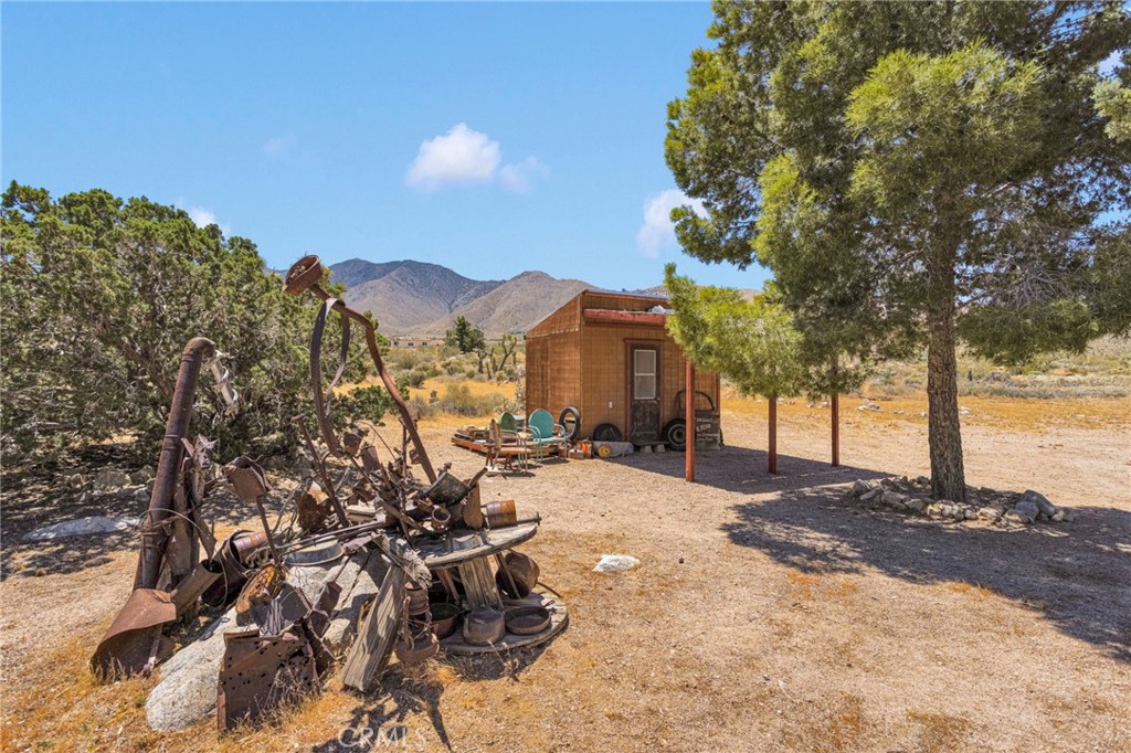 29229 Santa Rosa Road Lucerne Valley, CA 92356 - Photo 59 of 74 a view of a yard with a tree