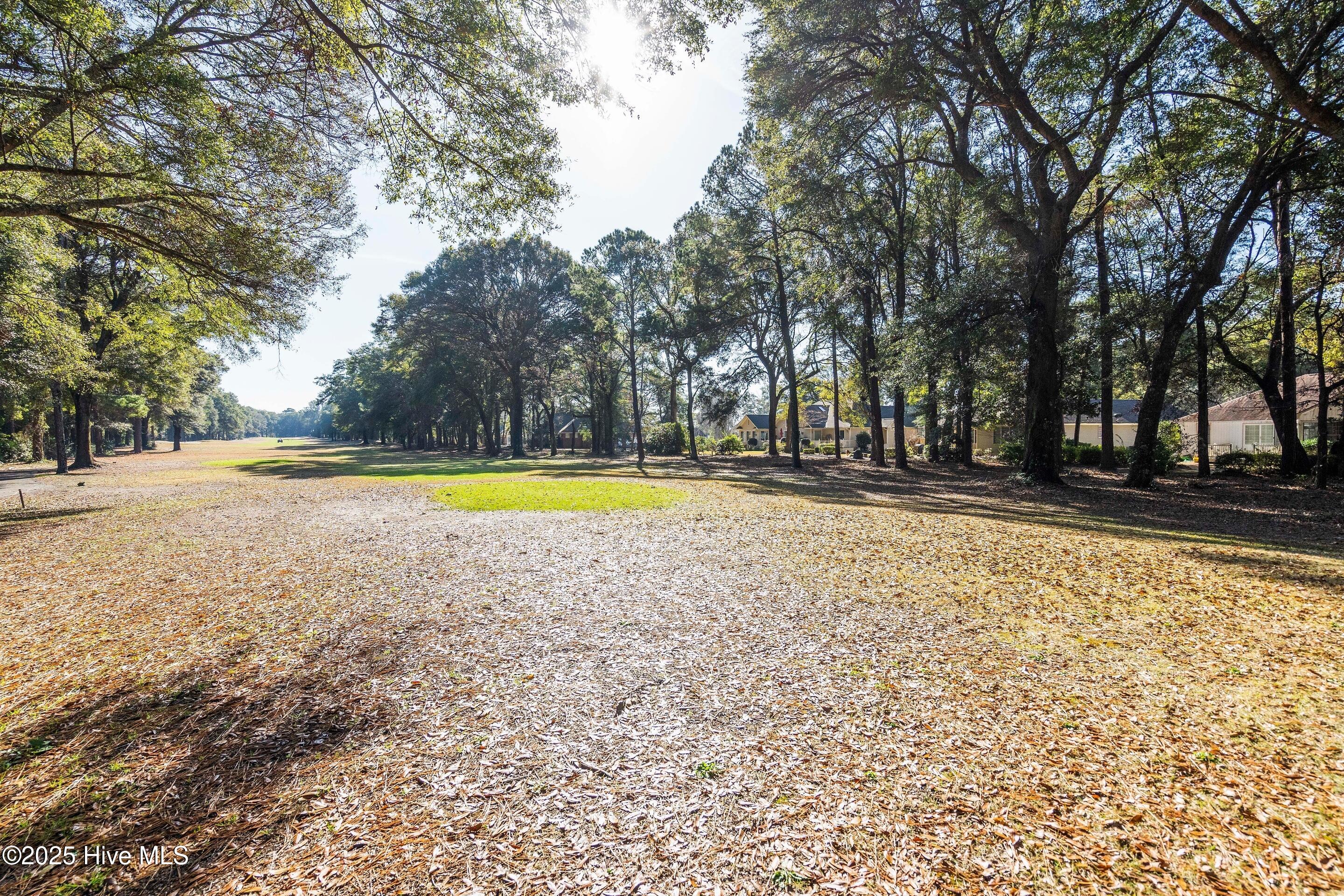 223 Clubhouse Road, Unit 6 Sunset Beach, NC 28468 - Photo 53 of 60 mls-DSC02119