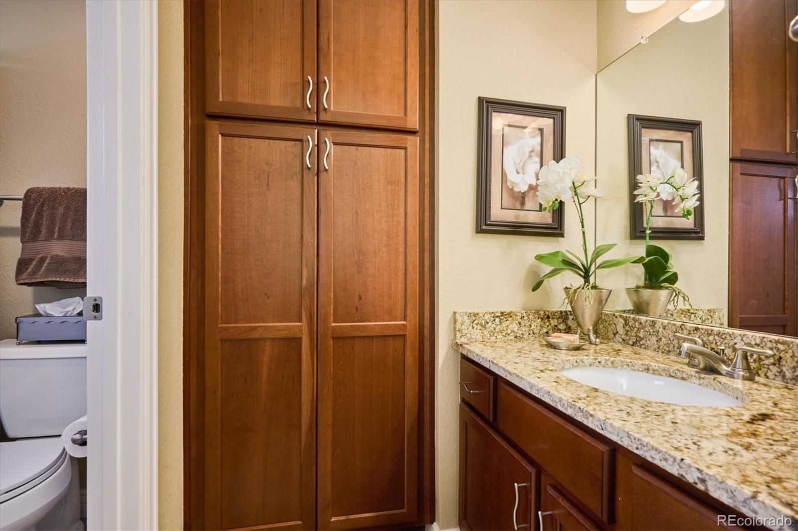 381 Quail Ridge Circle Highlands Ranch, CO 80126 - Photo 25 of 48 Gallery Image 25