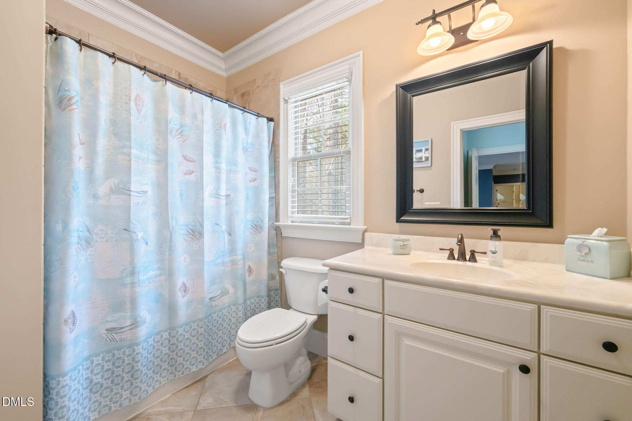 12313 The Gates Drive Raleigh, NC 27614 - Photo 39 of 78 a bathroom with a toilet a sink and a mirror