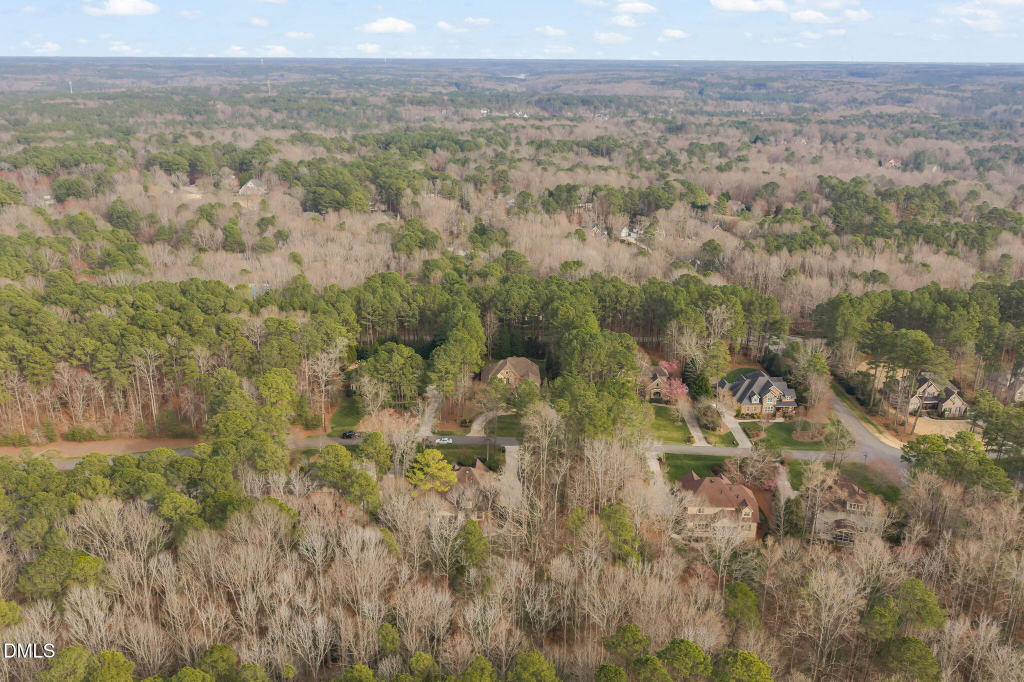 12313 The Gates Drive Raleigh, NC 27614 - Photo 69 of 78 a view of a big yard