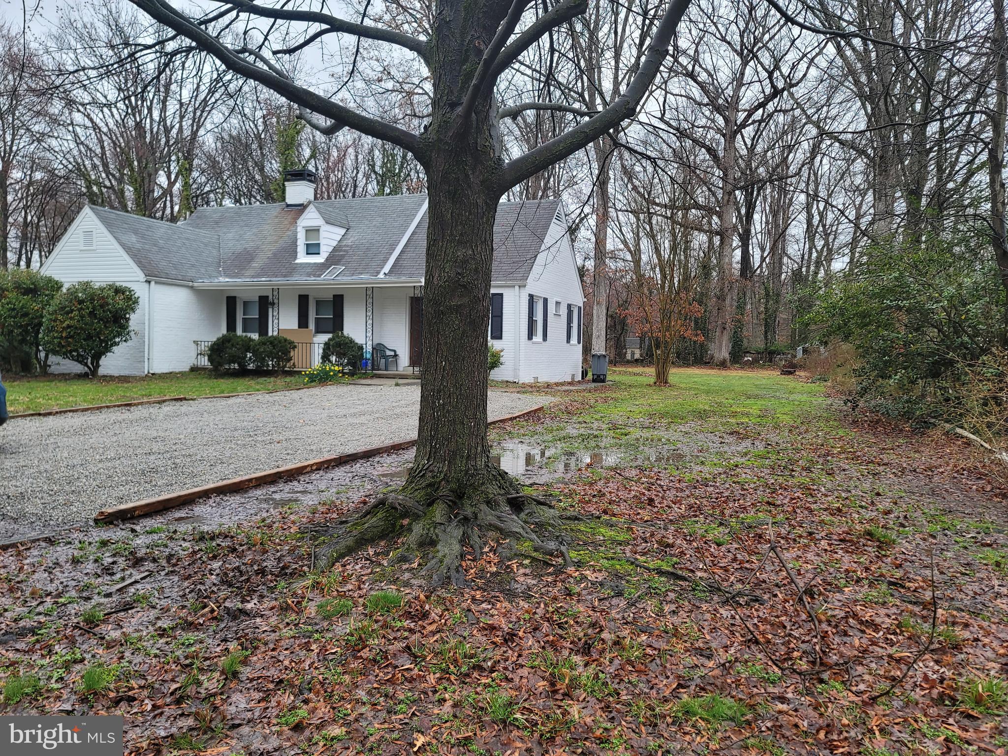 7717 Schelhorn Road Alexandria, VA 22306 - Photo 1 of 24 Gallery Image 1