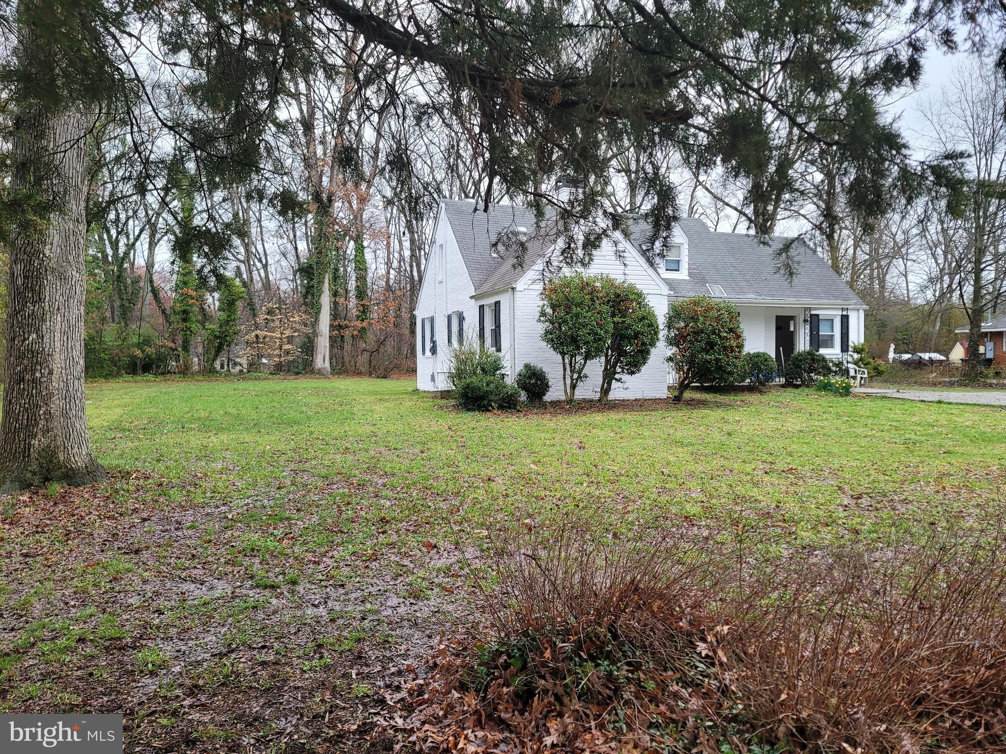 7717 Schelhorn Road Alexandria, VA 22306 - Photo 3 of 24 Gallery Image 3