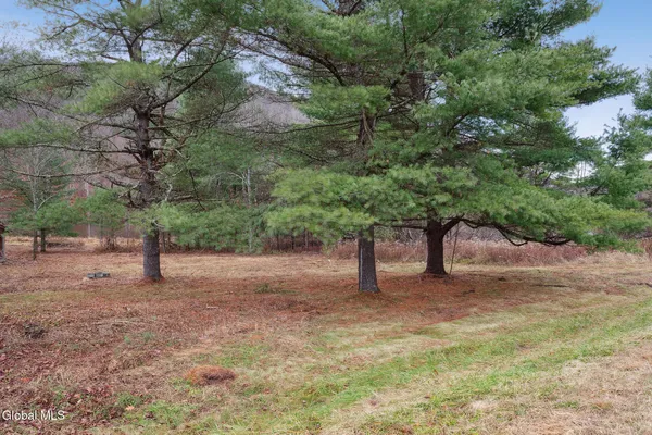 $49,900 | 817 Highway 145, Broome, NY 12122