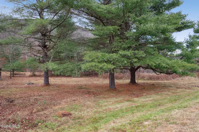 $49,900 | 817 Highway 145, Broome, NY 12122