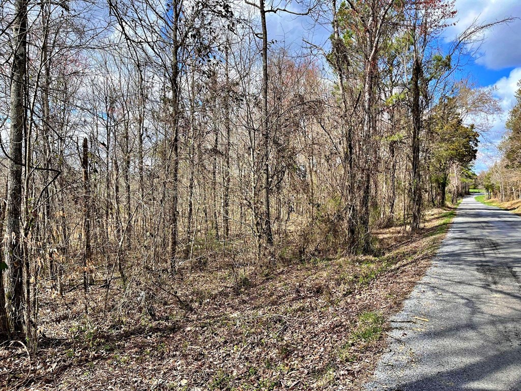 3 County Road 186 Decatur, TN 37322 - Photo 8 of 9 Gallery Image 8