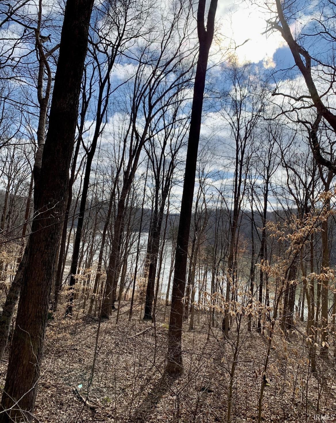 5085 Jericho Road Taswell, IN 47175 - Photo 19 of 22