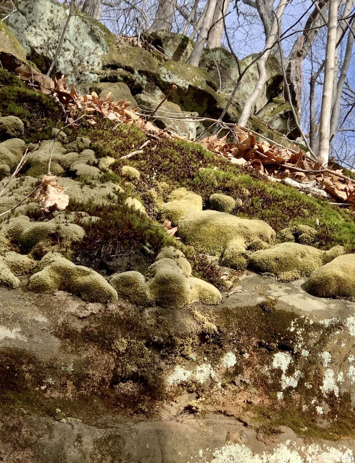 5085 Jericho Road Taswell, IN 47175 - Photo 20 of 22