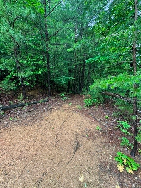 35-36 Big Sky Road Ferguson, NC 28624 - Photo 10 of 23 a view of a forest with trees in the background