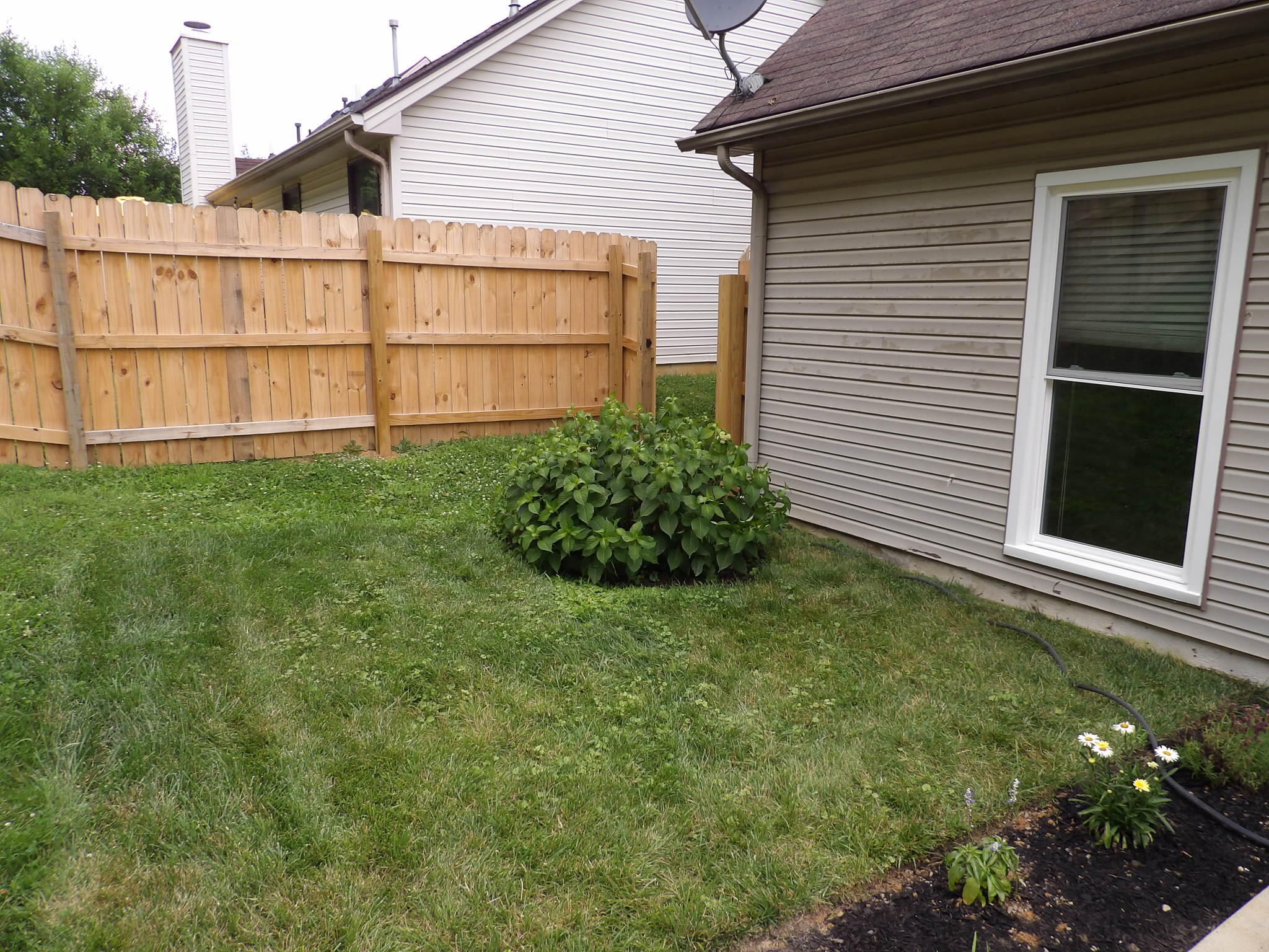1217 Colorado Road Lexington, KY 40509 - Photo 60 of 68 103_3878