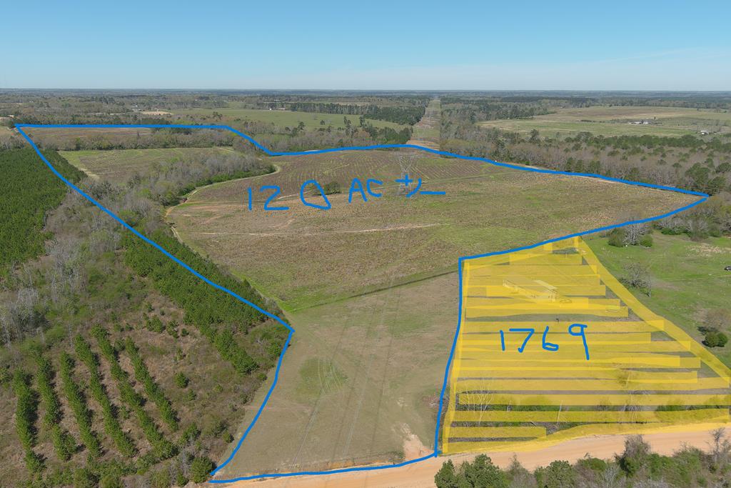 0 Macedonia Ch Road Columbia, AL 36319 - Photo 1 of 61