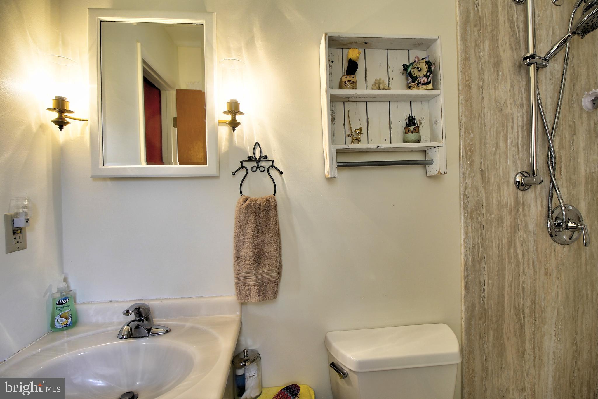 350 New Bridge Road Rising Sun, MD 21911 - Photo 20 of 41 Master bathroom with new shower