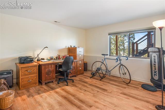 10255 Elk Ridge South Divide, CO 80814 - Photo 39 of 50